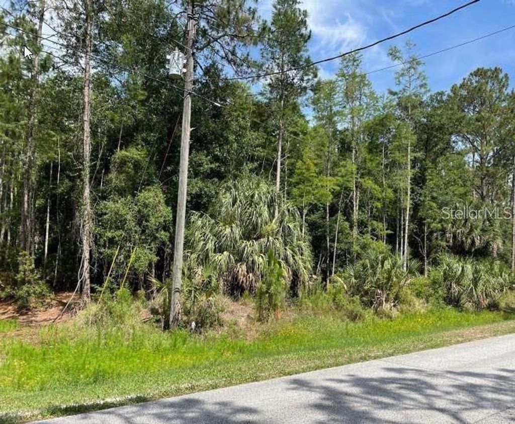 Photo of Thunderhead Street, Wesley Chapel, FL 33544 (MLS # G5102721)