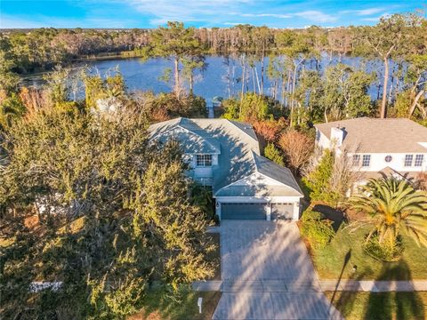 A home in ORLANDO