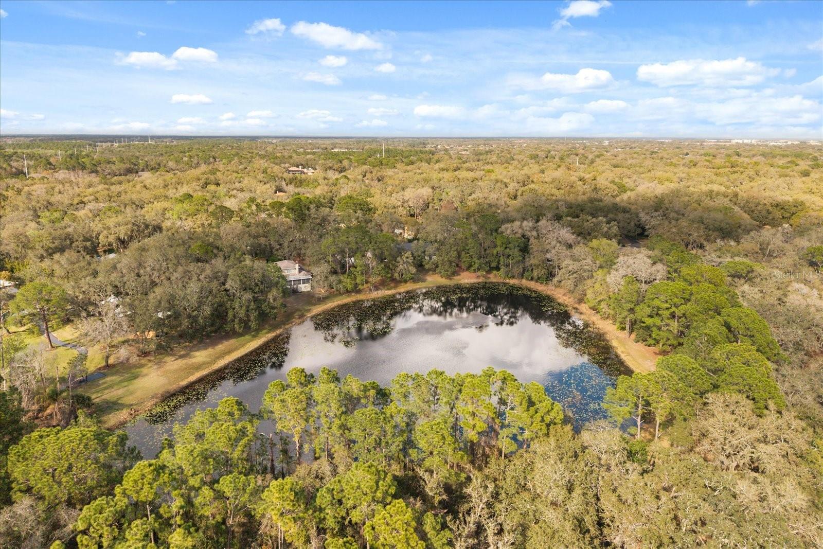 SHANNON DOWNS - Residential