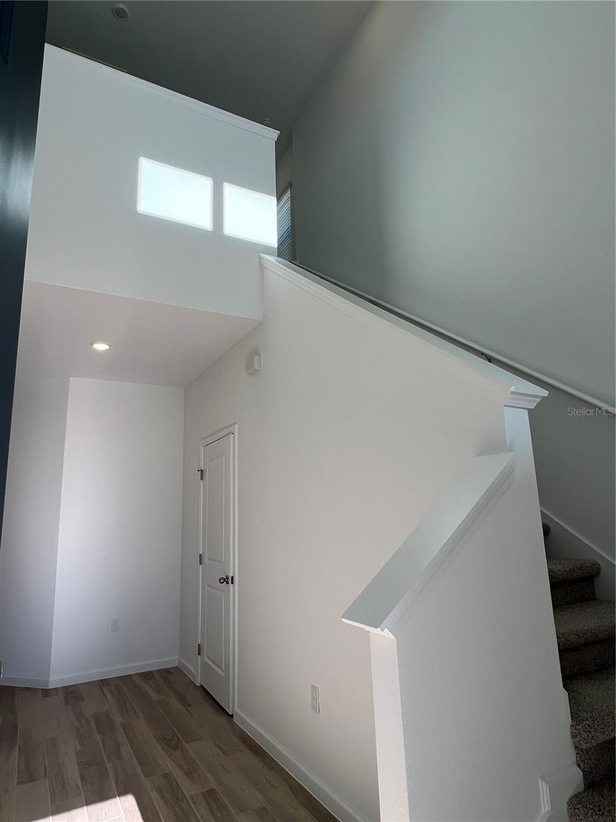 HILLS OF MINNEOLA - Residential