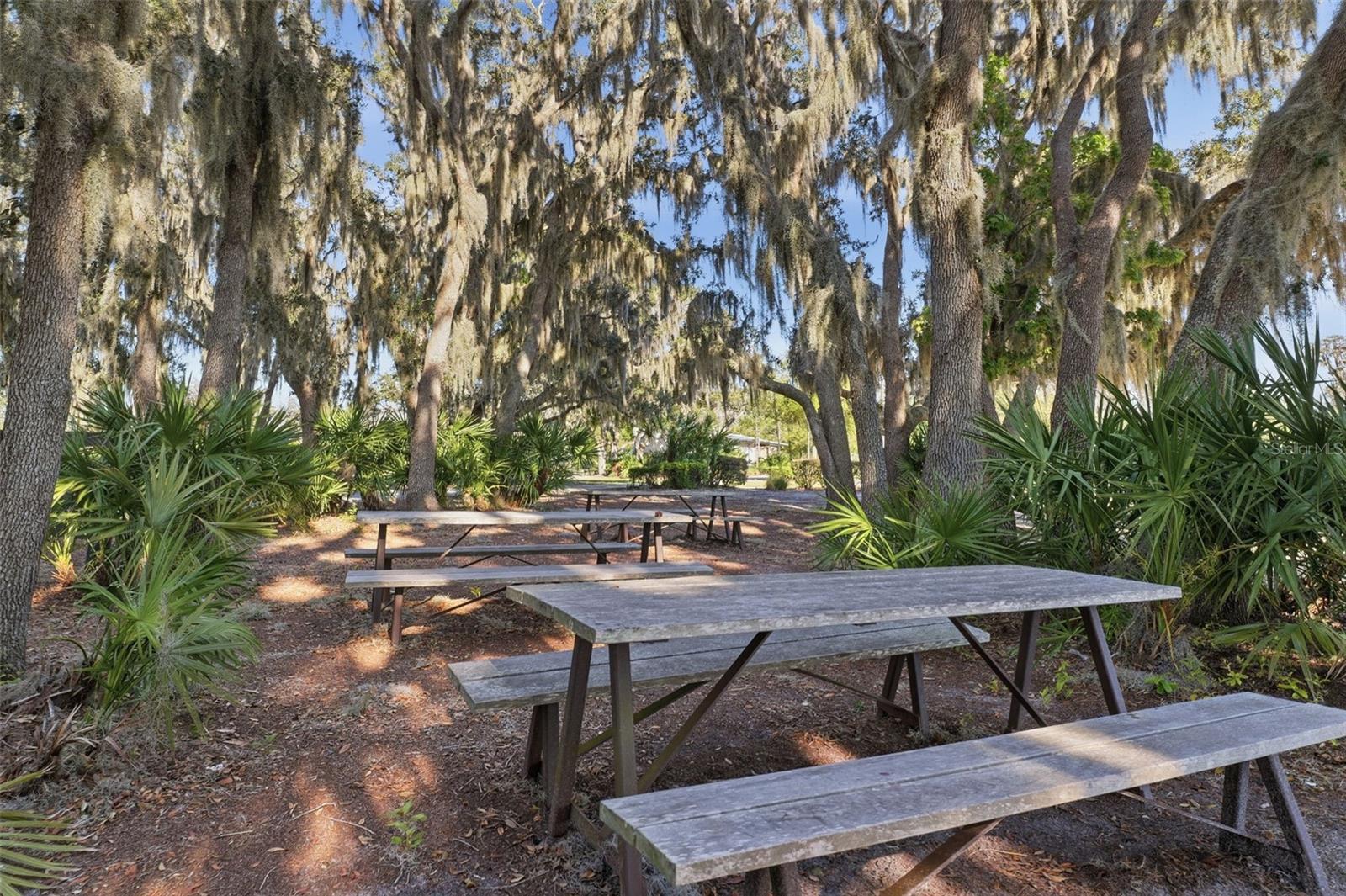 STARKEY RANCH - Residential