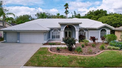 A home in TAMPA