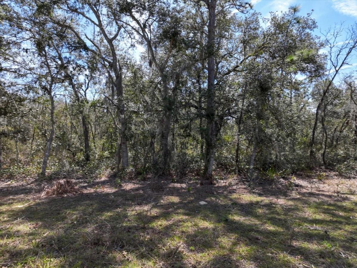 OAK RIDGE ESTATES - Land