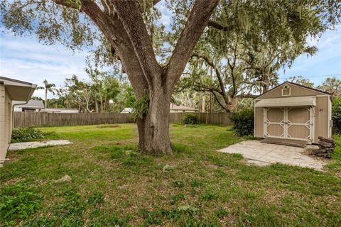 A home in MOUNT DORA