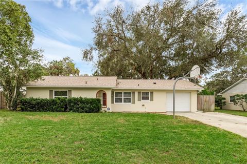 A home in MOUNT DORA