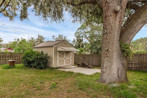 A home in MOUNT DORA