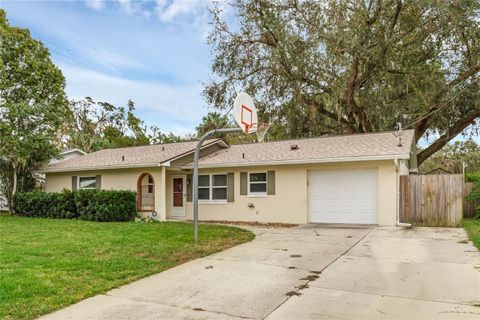 A home in MOUNT DORA