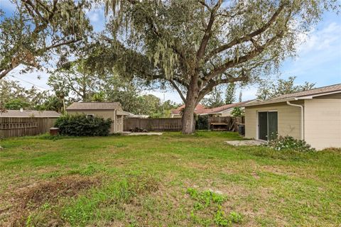 A home in MOUNT DORA