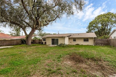 A home in MOUNT DORA