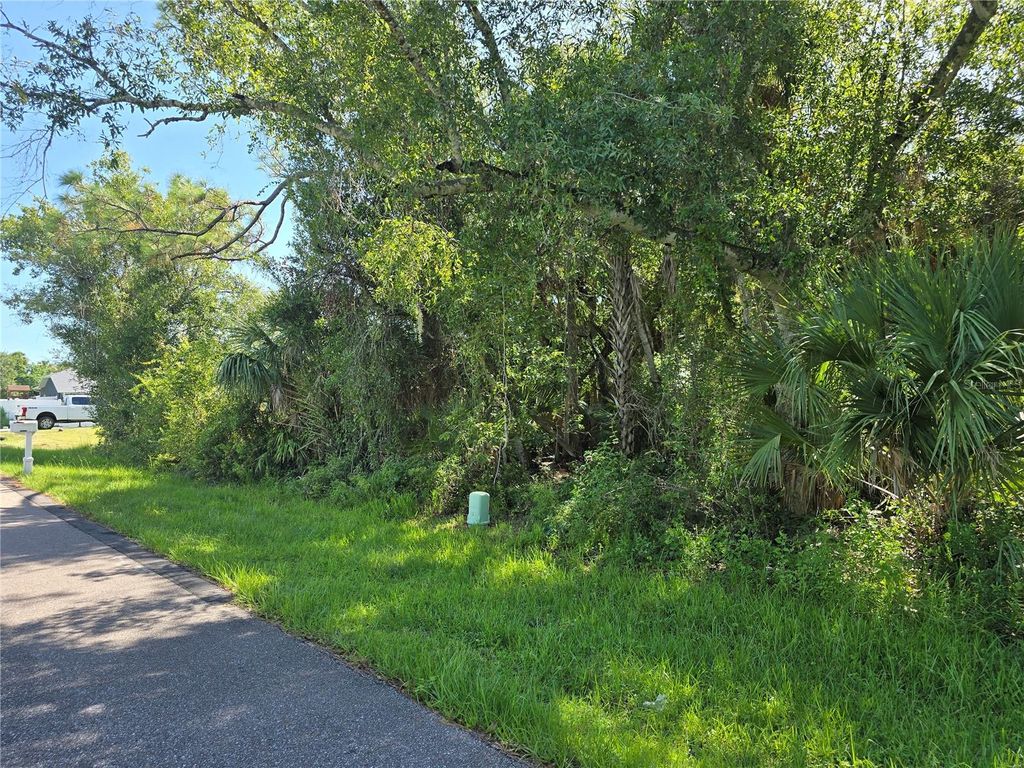 Photo of 1235 Westport Street, Port Charlotte, FL 33952 (MLS # A4666671)