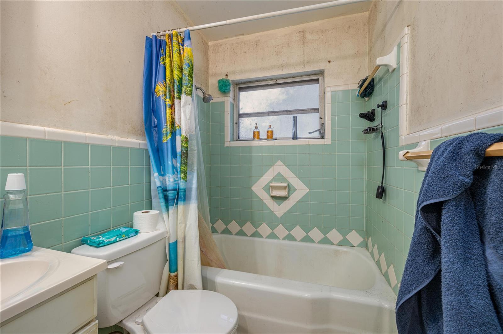 AUBURNDALE LAKESIDE PARK - Residential