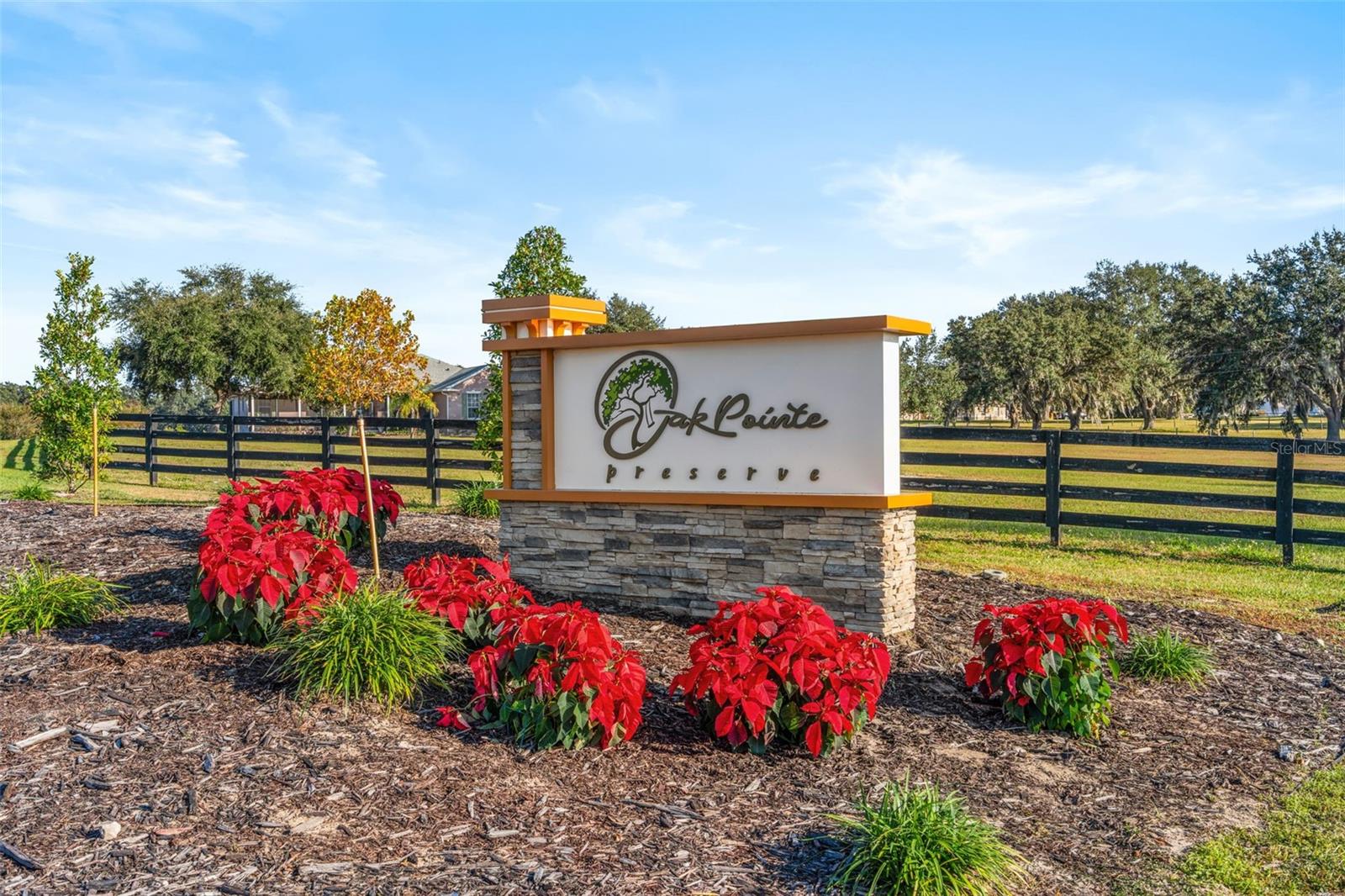 OAK POINTE PRESERVE - Land