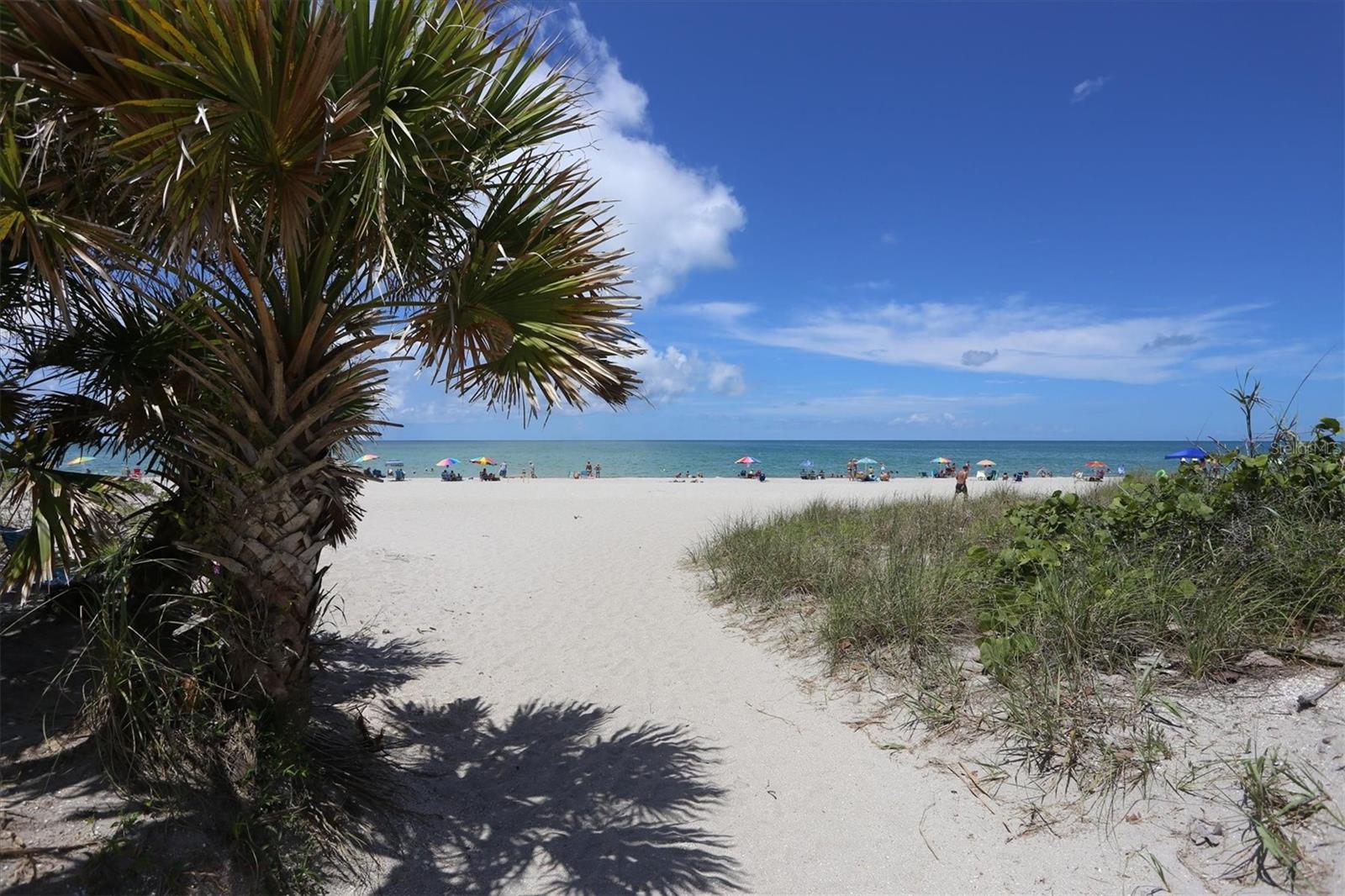 MANASOTA LAND & TIMBER CO - Residential