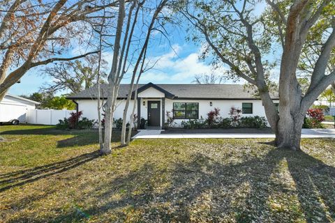 Photo of 5414 S Himes Avenue, Tampa, FL 33611 (MLS # O6385379)