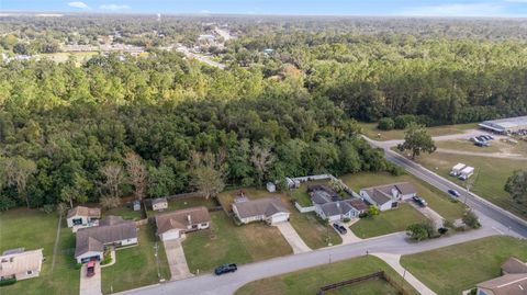 A home in BELLEVIEW