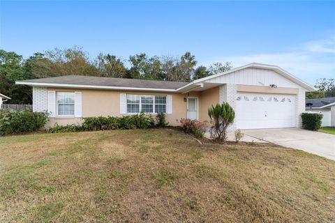 A home in BELLEVIEW