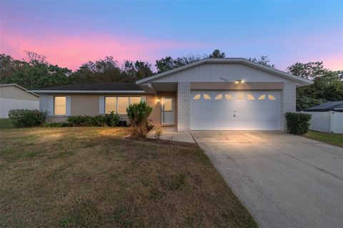 A home in BELLEVIEW