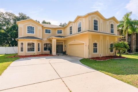 5042 RISHLEY RUN WAY MOUNT DORA FL 32757