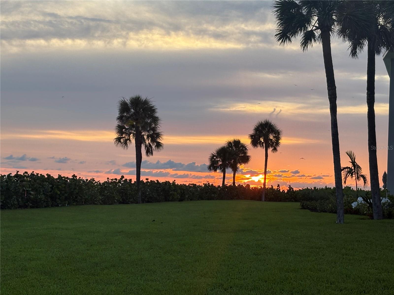 SANDS POINT - Residential