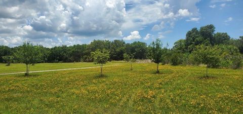 Photo of 15908 W Lake Drive, Wimauma, FL 33598 (MLS # TB8530554)