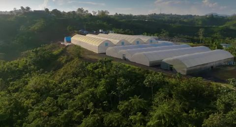 Sector Palmasola CARR. 499, LARES LARES  00669