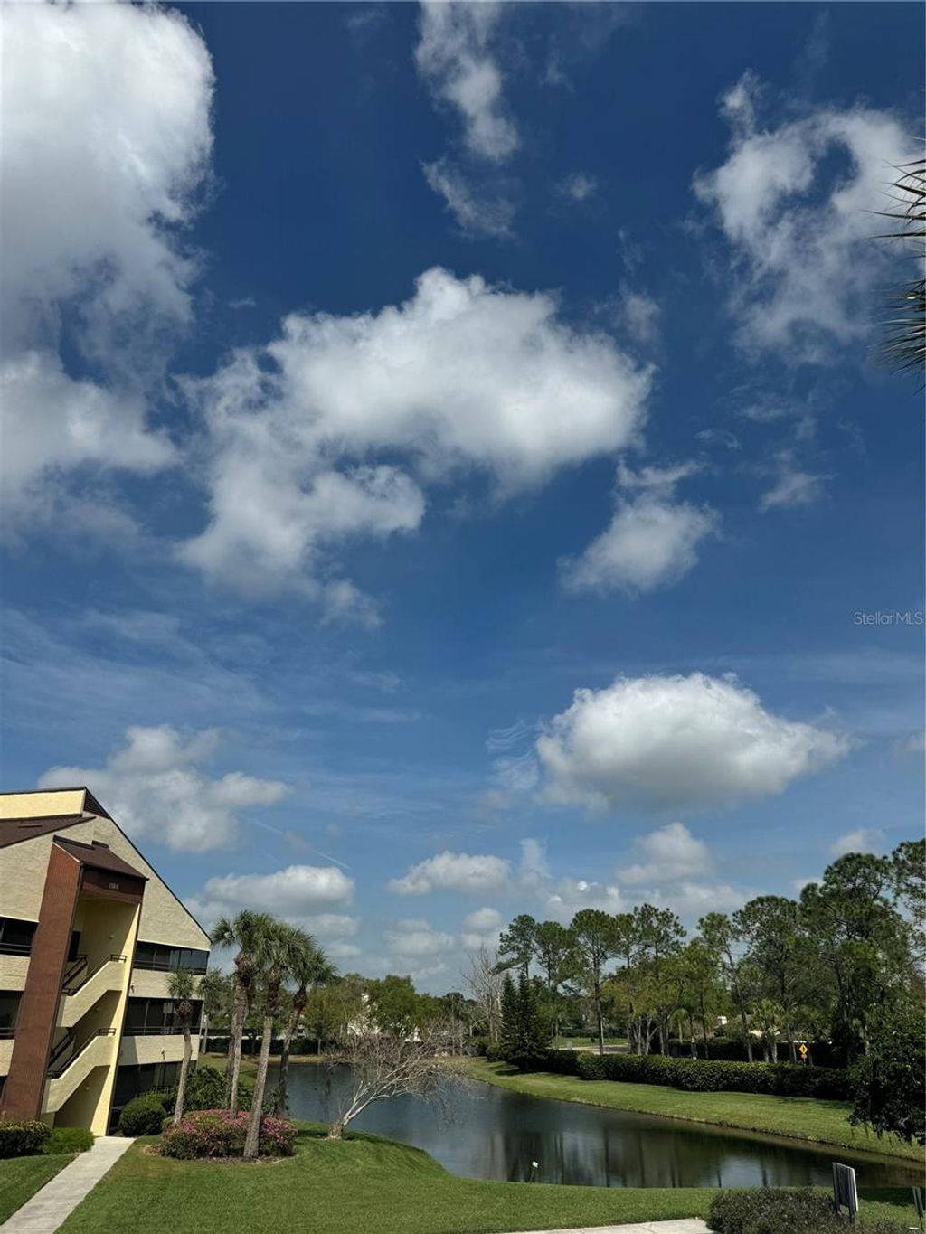 Photo of 13608 S Village Drive #8203, Tampa, FL 33618 (MLS # TB8496285)