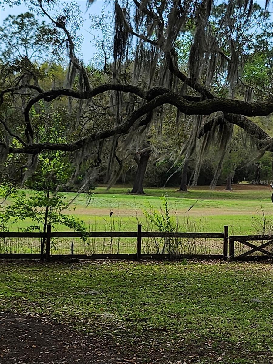 CITRUS SPGS UNIT 04 - Residential