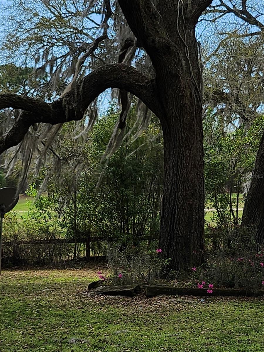 CITRUS SPGS UNIT 04 - Residential