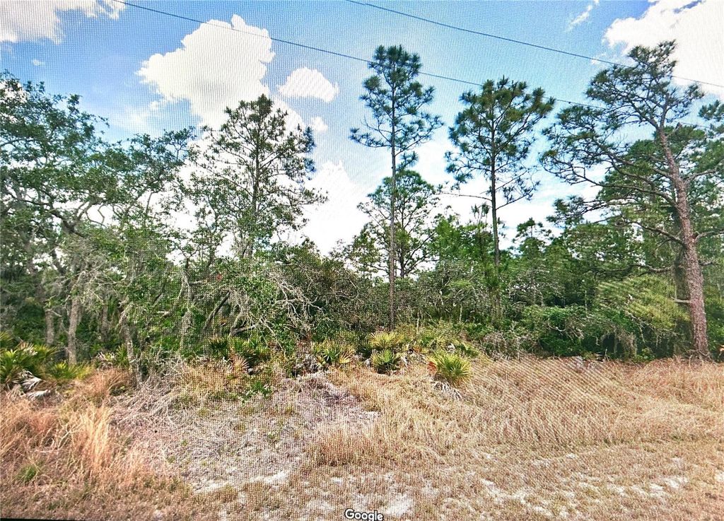 Photo of 1129 Marabella Road, Lake Placid, FL 33852 (MLS # O6344032)