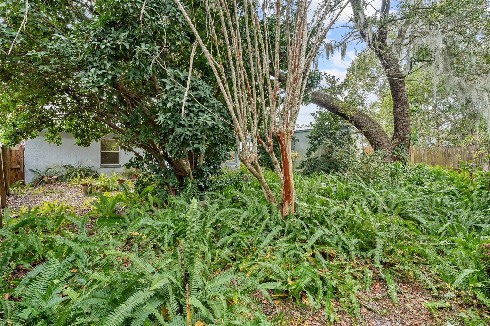 PALM COAST SEC 27 BLK 58 & 59 - Residential