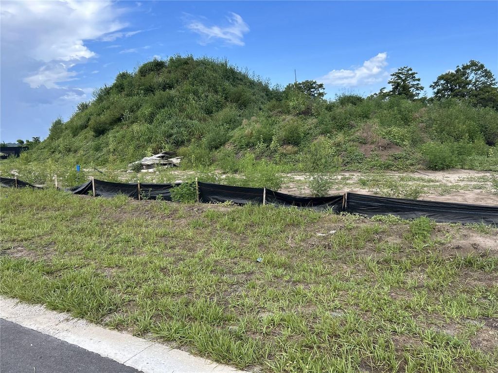 Photo of 12938 Stillwater Cove Drive, Astatula, FL 34705 (MLS # O6313425)