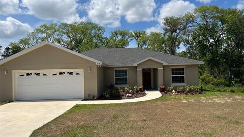 Photo of 214 Brook Lane, Polk City, FL 33868 (MLS # P4934282)