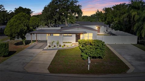 Photo of 10402 N Pawnee Avenue, Tampa, FL 33617 (MLS # TB8511255)