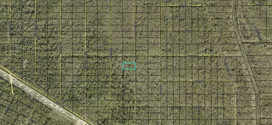 Here is your opportunity to own 1.14 acres in Flagler Estates located in Flagler County, Florida!