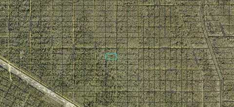 XX STYCKET AVENUE HASTINGS FL 32145