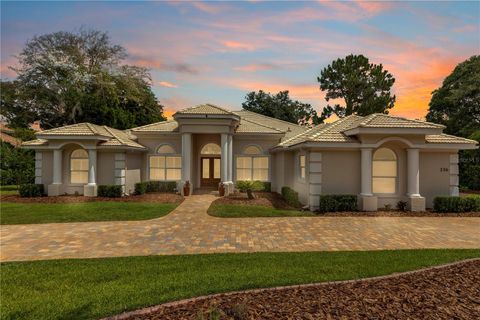 Photo of 236 Eagle Estates Drive, Debary, FL 32713 (MLS # V4949602)