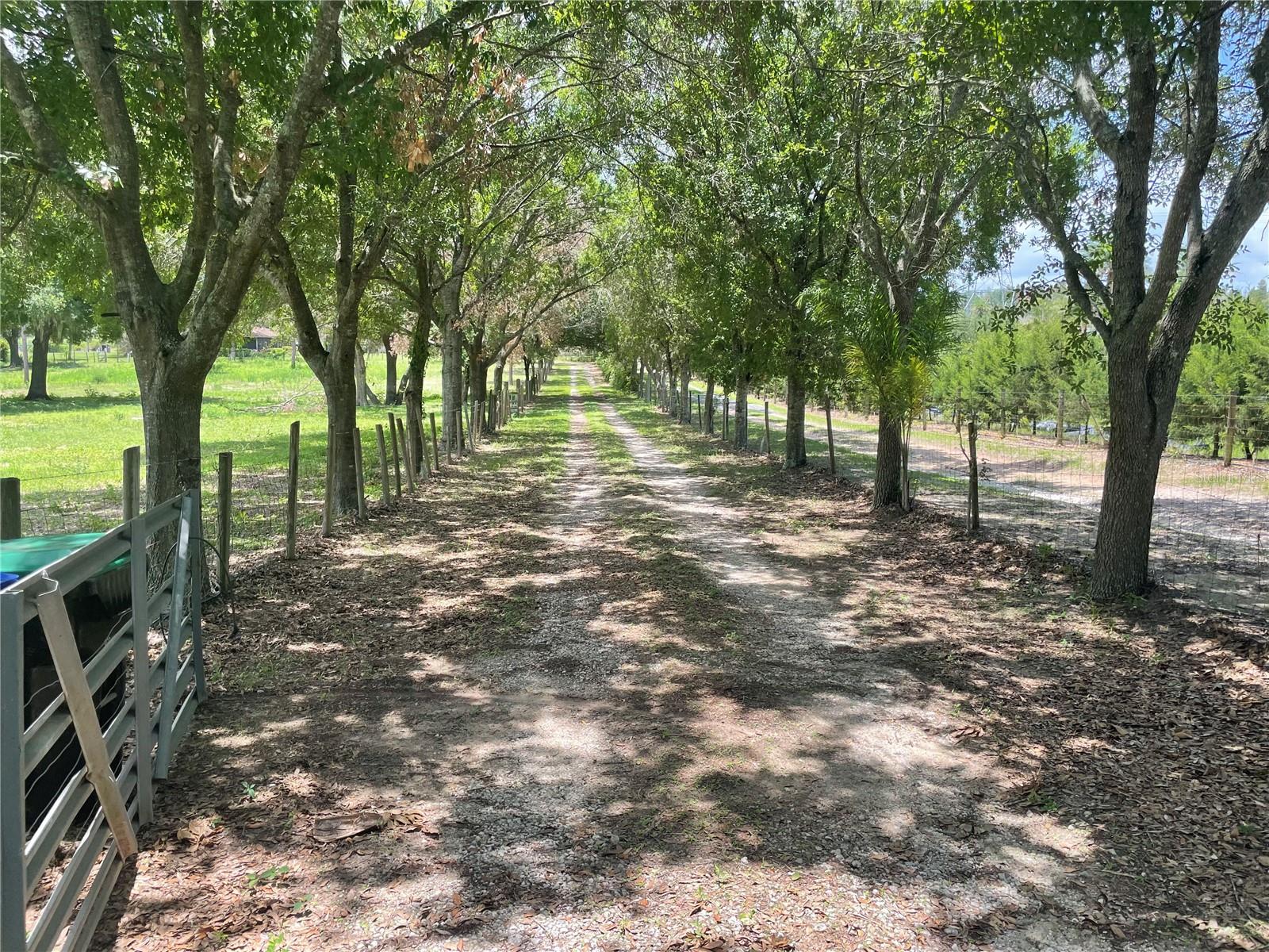 17952 LOOKOUT HILL ROAD
