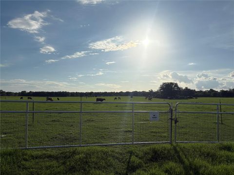 Tiny photo for 13994 County Road 209, Oxford, FL 34484 (MLS # O6319357)