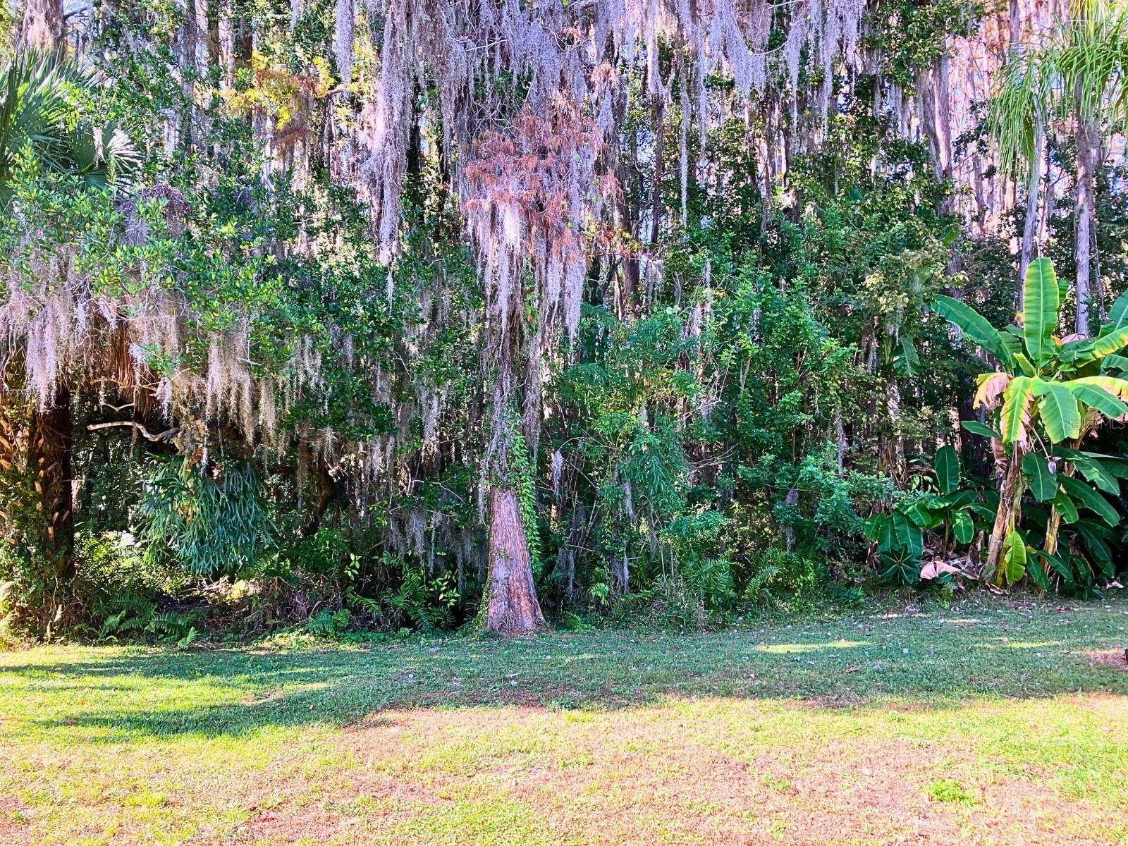 PARADISE LAKES RESORT CONDO - Residential