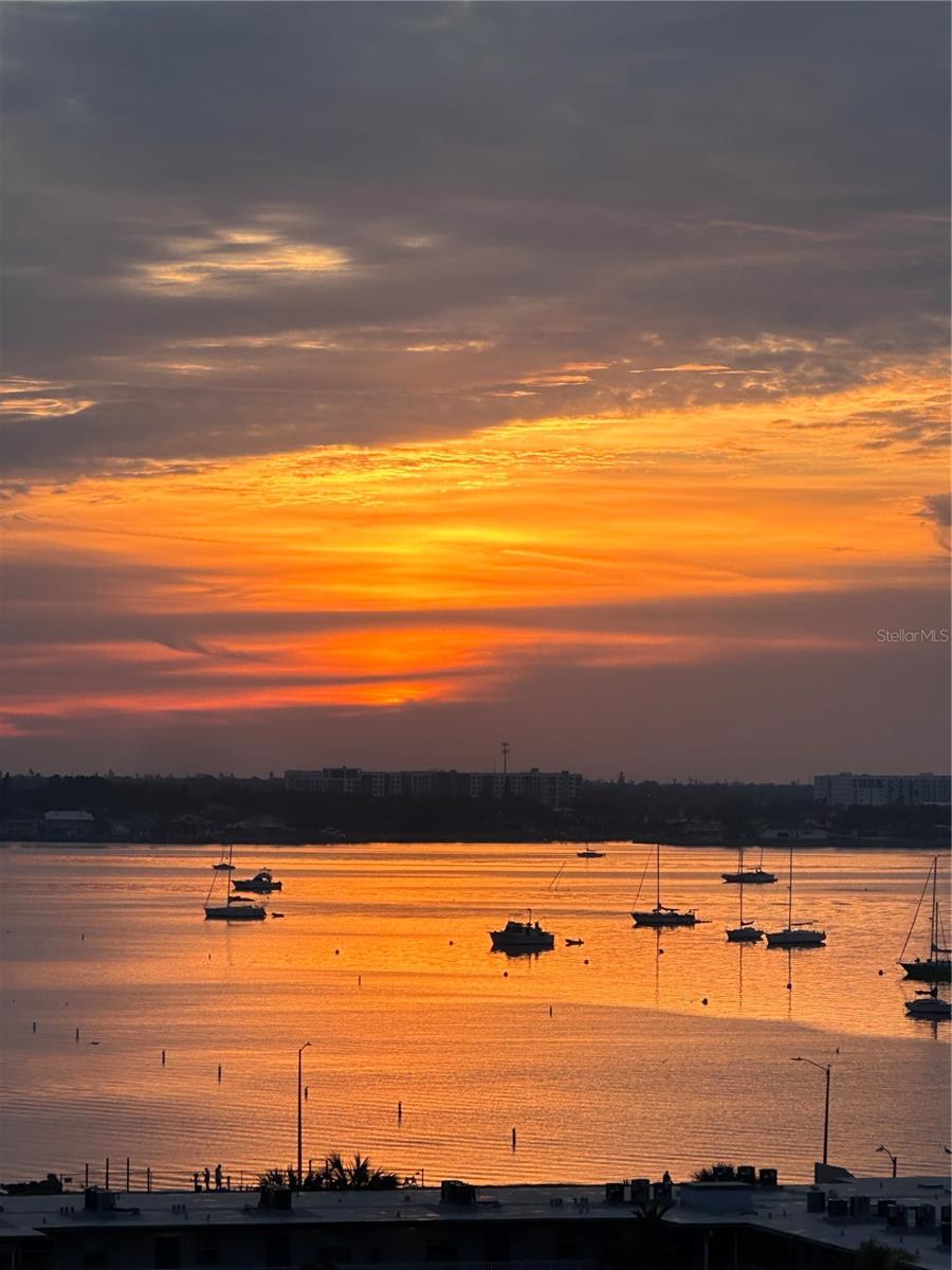 TOWN SHORES OF GULFPORT - Residential