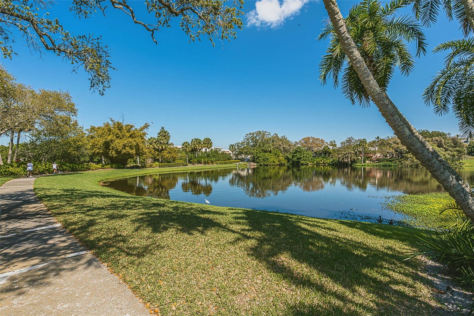 BELLEVIEW BILTMORE VILLAS BAYSHORE I - Residential