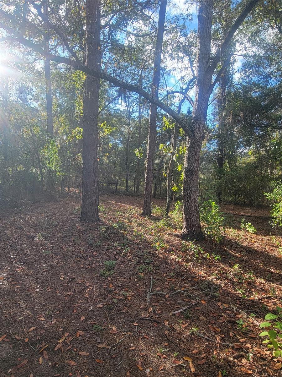 LAKE TROPICANA RANCHETTES - Residential