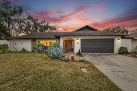 13206 TIFTON DRIVE TAMPA FL 33618