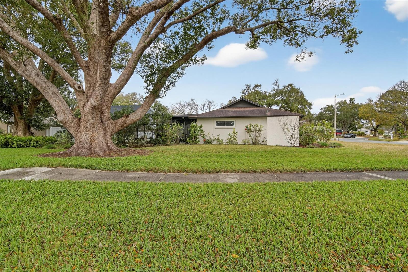 LAKE ELLEN - Residential