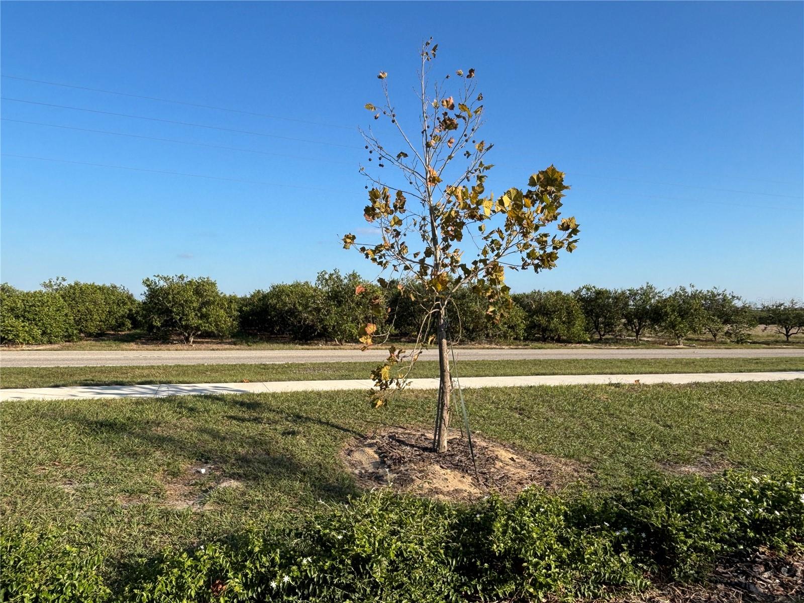 HUNT CLUB/LK WALES PH 1 - Residential Lease