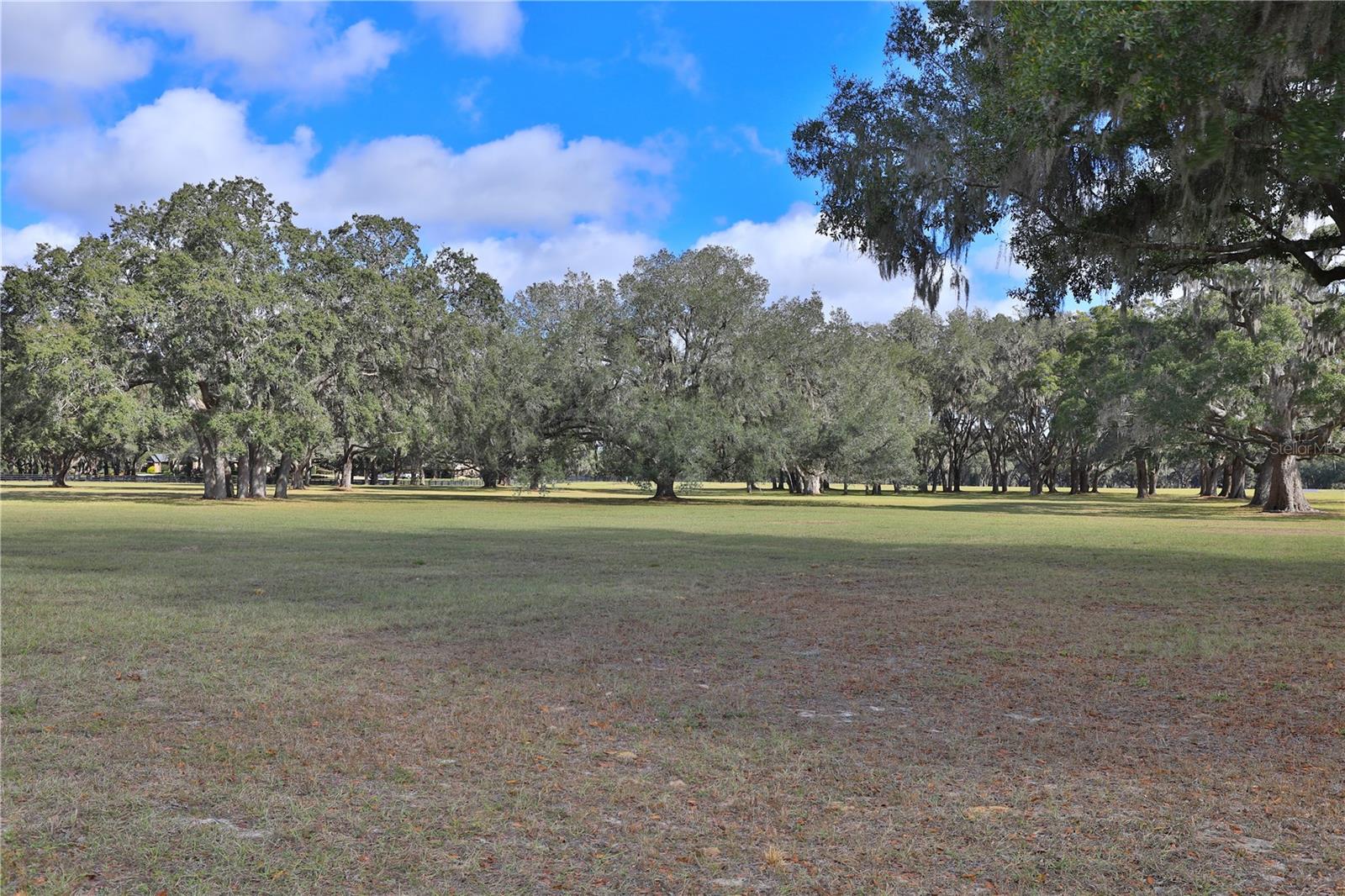 EQUINE ESTATE - Land