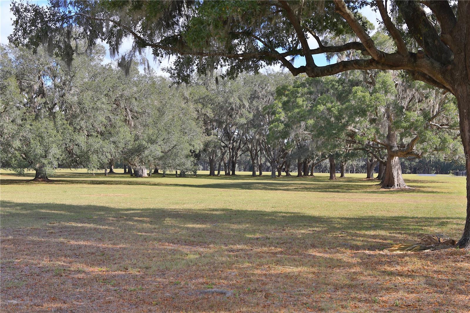 EQUINE ESTATE - Land