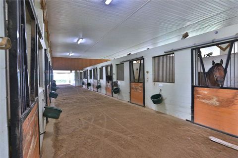 Tiny photo for 19431 NE 17th Place, Williston, FL 32696 (MLS # OM679092)