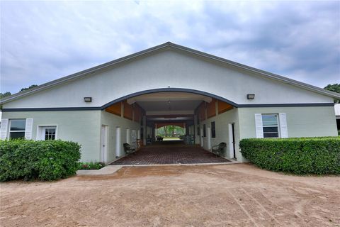 Tiny photo for 19431 NE 17th Place, Williston, FL 32696 (MLS # OM679092)