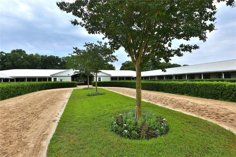 Tiny photo for 19431 NE 17th Place, Williston, FL 32696 (MLS # OM679092)